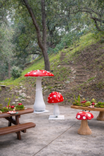 Wild Red Small Mushroom