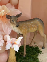 Fawn