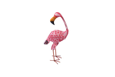 Flamingo (3)