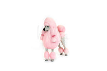 Pink French Poodle