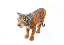 Tiger (Live Size)