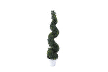 Spiral Topiary