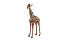 6' Giraff