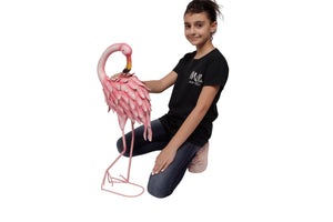 Flamingo (1)