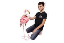 Flamingo (4)