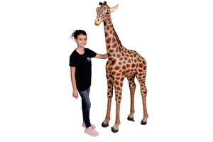 6' Giraff