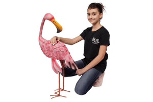 Flamingo (3)