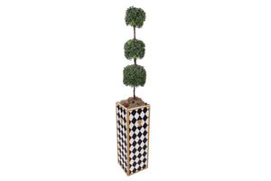 Topiary Stand